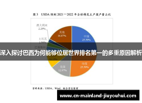 深入探讨巴西为何能够位居世界排名第一的多重原因解析