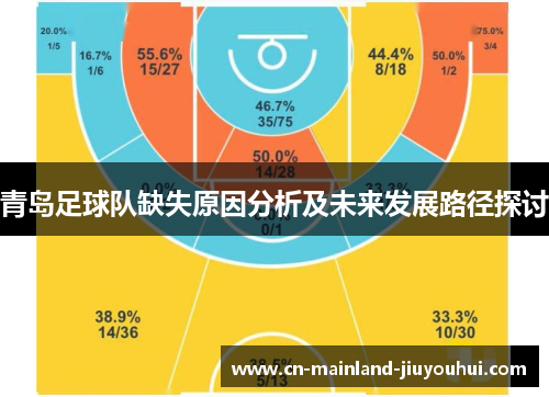青岛足球队缺失原因分析及未来发展路径探讨
