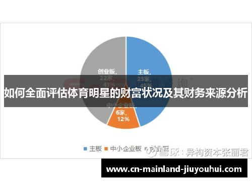 如何全面评估体育明星的财富状况及其财务来源分析