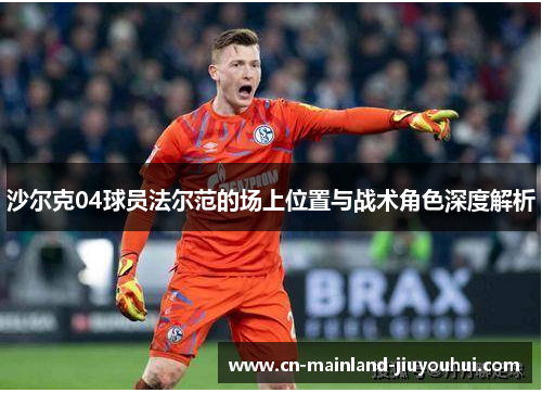 沙尔克04球员法尔范的场上位置与战术角色深度解析