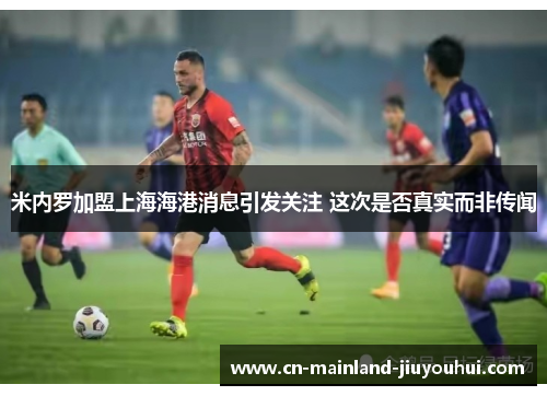 米内罗加盟上海海港消息引发关注 这次是否真实而非传闻