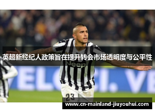 英超新经纪人政策旨在提升转会市场透明度与公平性 英超新经纪人政策旨在提升转会市场透明度与公平性