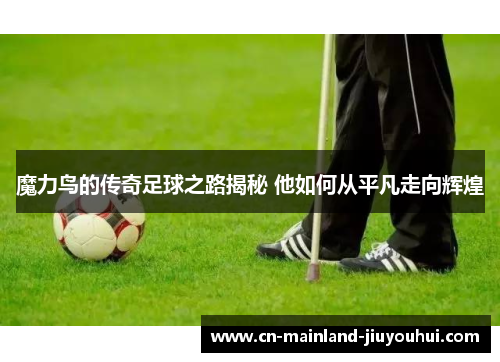 魔力鸟的传奇足球之路揭秘 他如何从平凡走向辉煌